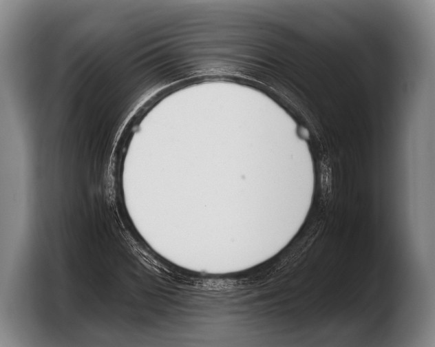 X0000103331068200810061010