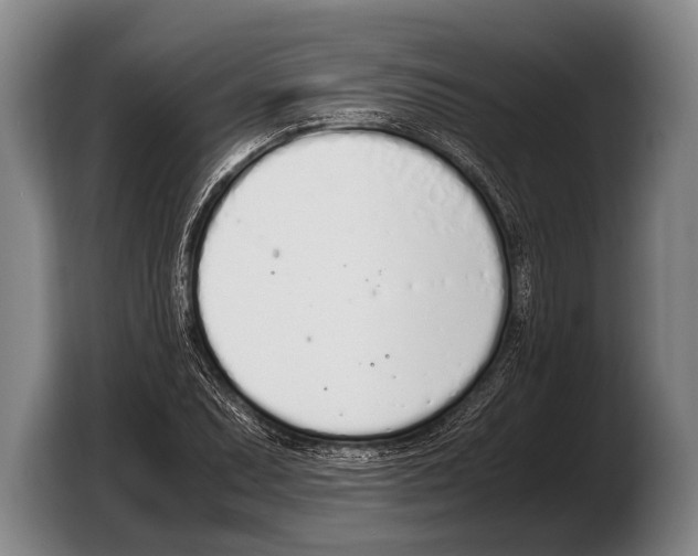 X0000103331071200810061010