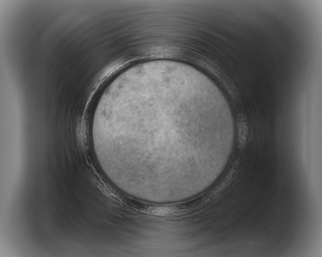 X0000103331074200810061010