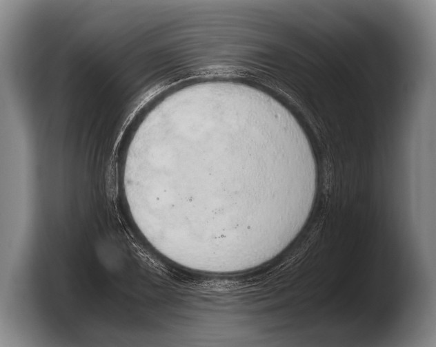 X0000103331075200810061010