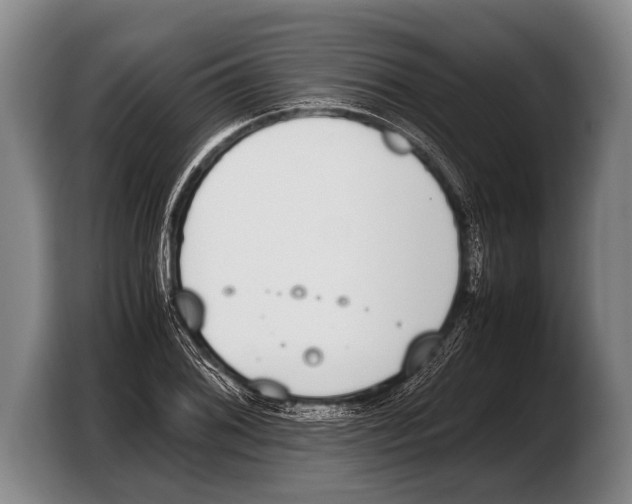 X0000103331076200810061010