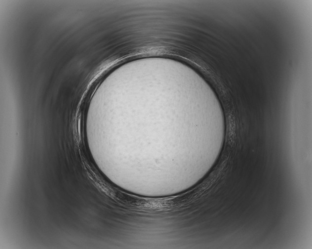 X0000103331078200810061010