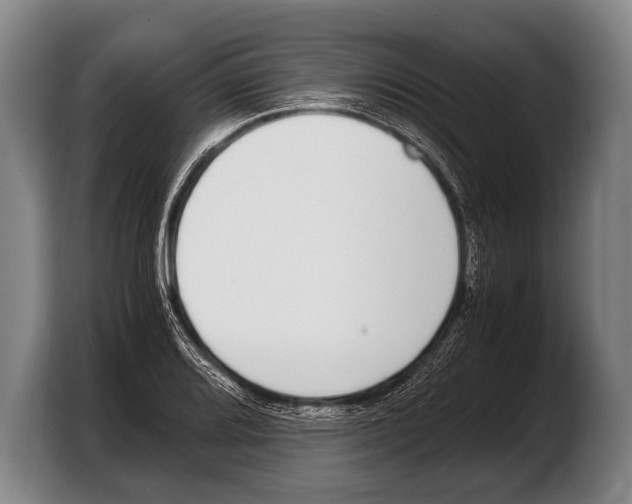 X0000103331080200810061010