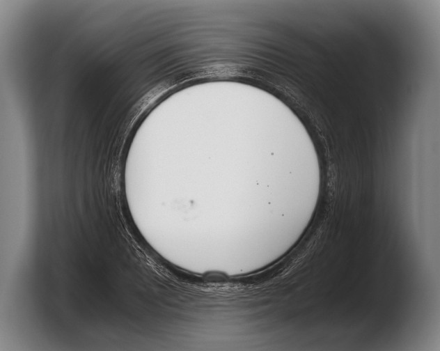 X0000103331081200810061010