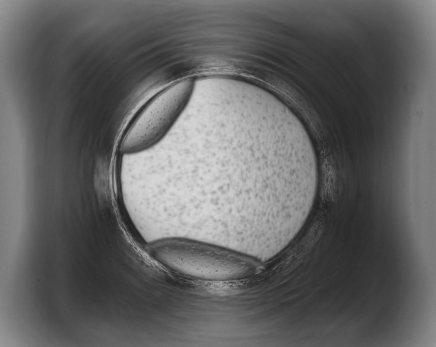 X0000103331084200810061010