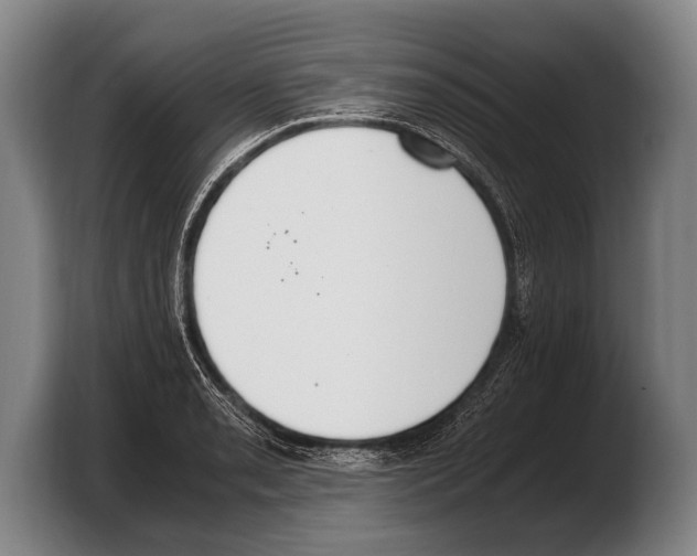 X0000103331085200810061010