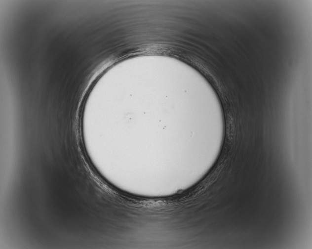 X0000103331087200810061010