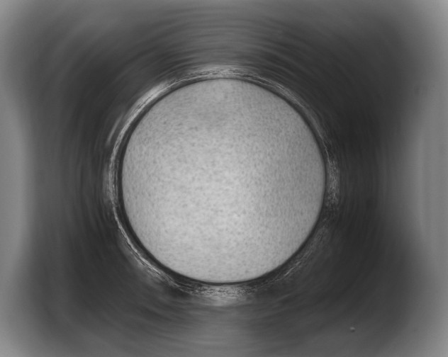 X0000103331090200810061010