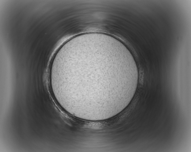 X0000103331094200810061010