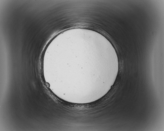 X0000103331099200810061009