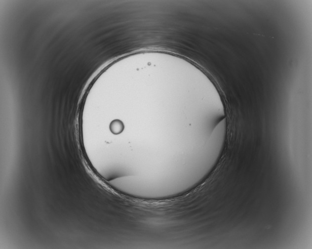 X0000103331100200810061009