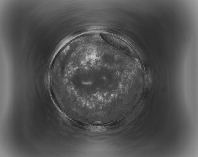 X0000103331101200810061009