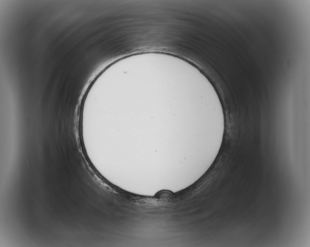 X0000103331102200810061009