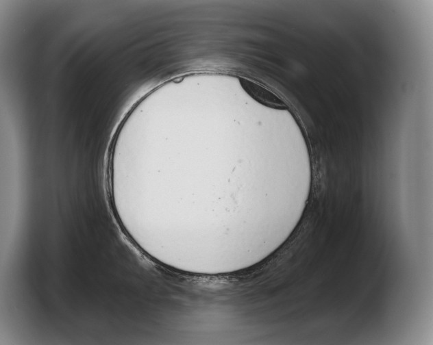 X0000103331103200810061009