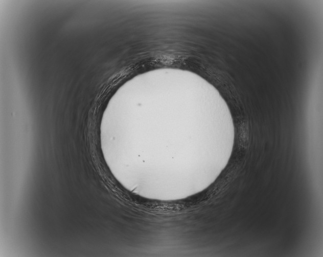 X0000103331105200810061009