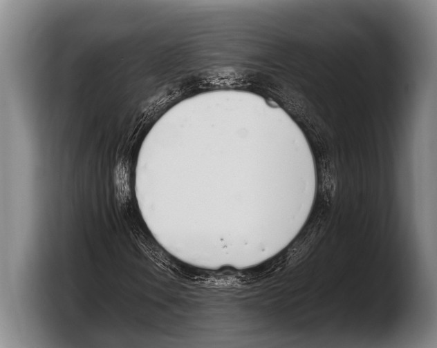 X0000103331106200810061009