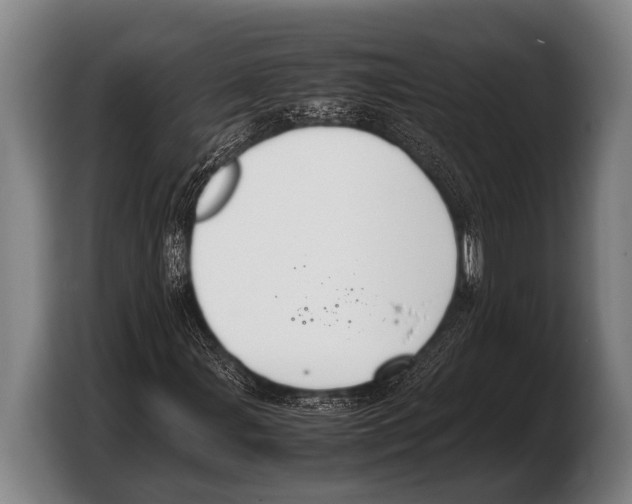 X0000103331107200810061009