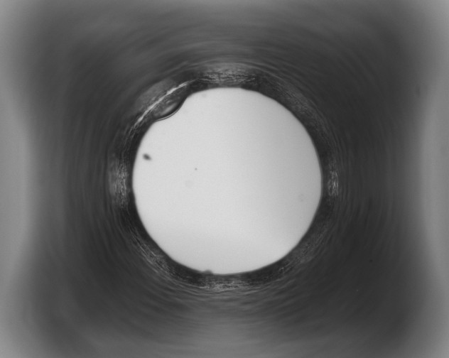 X0000103331108200810061009