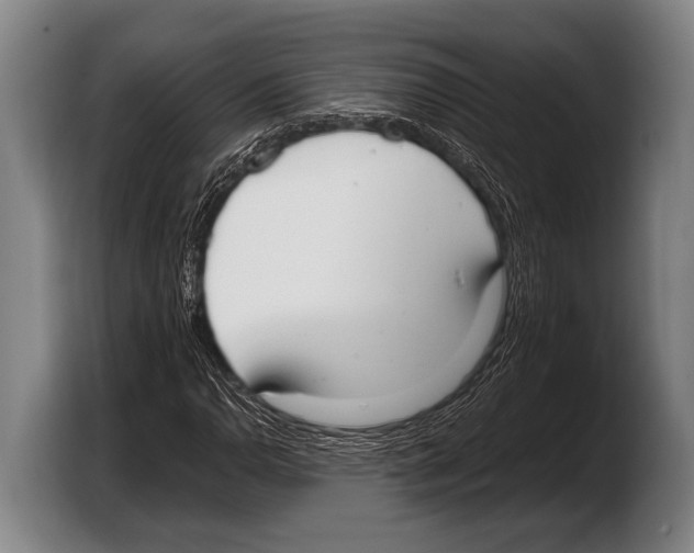 X0000103331110200810061009