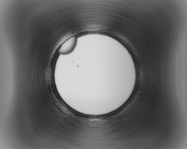 X0000103331114200810061009