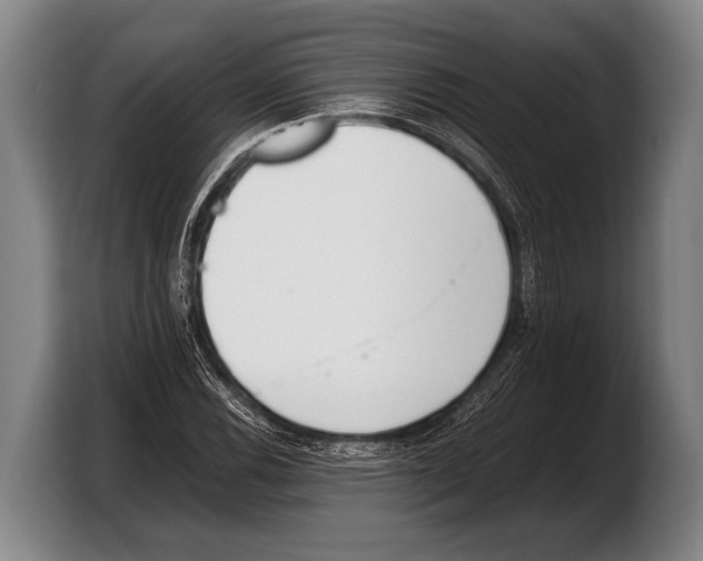 X0000103331116200810061009