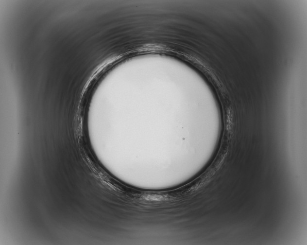 X0000103331117200810061009