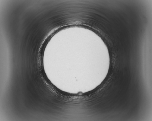 X0000103331118200810061009