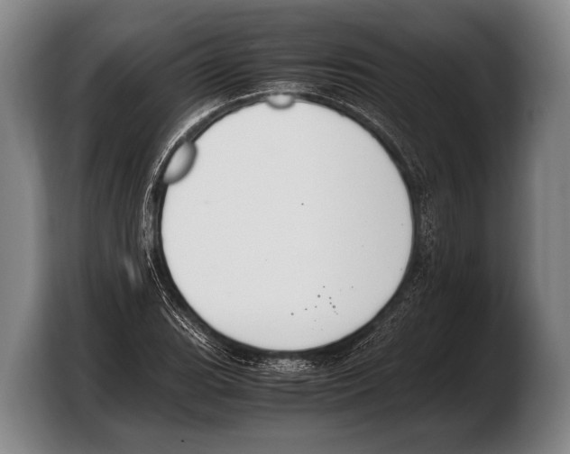 X0000103331119200810061009