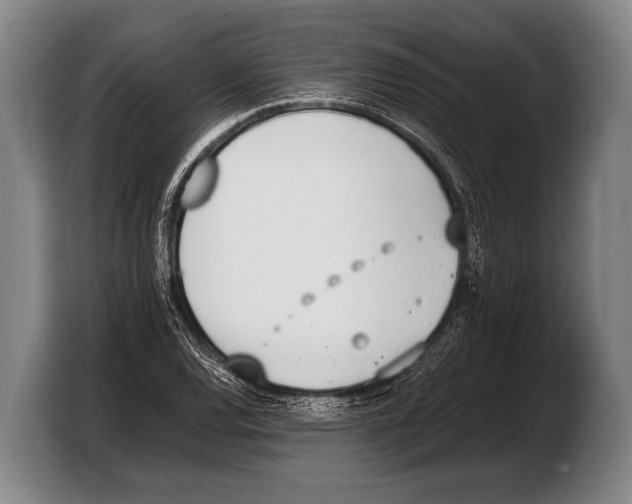 X0000103331120200810061009