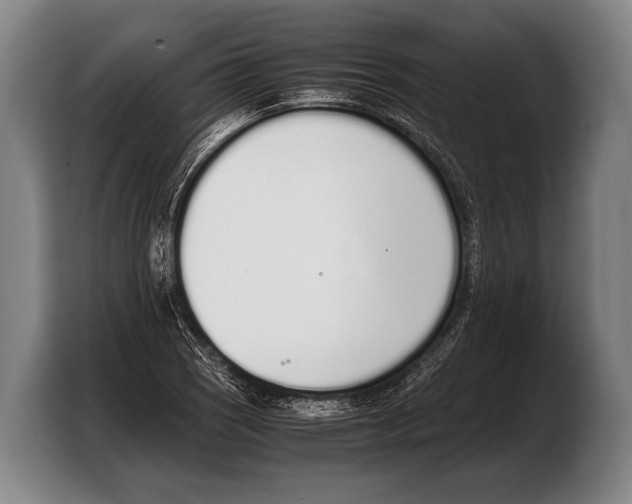 X0000103331121200810061009