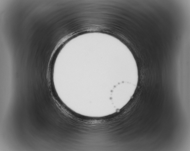 X0000103331122200810061009