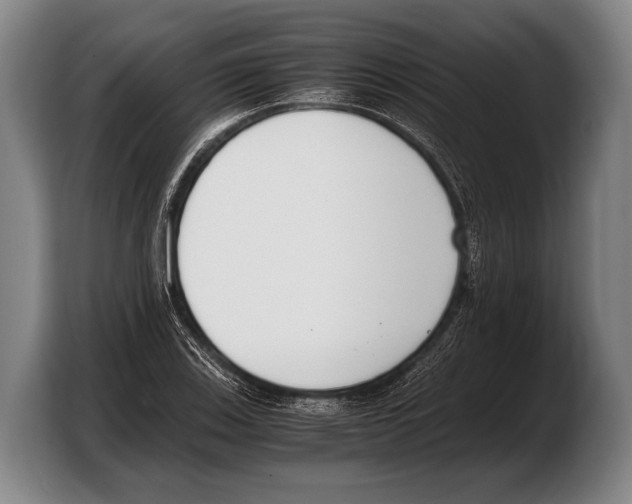 X0000103331123200810061009