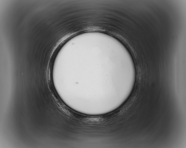 X0000103331125200810061009