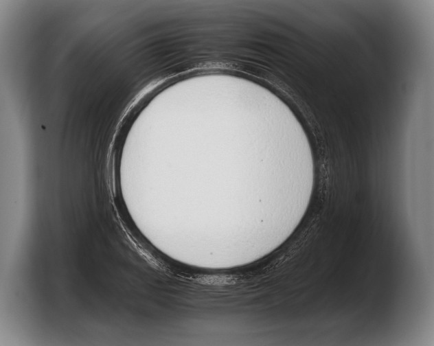 X0000103331127200810061009