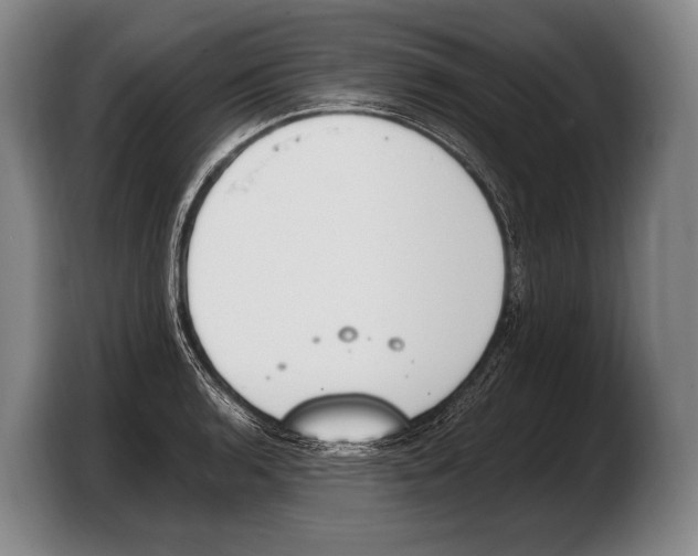 X0000103331136200810061009