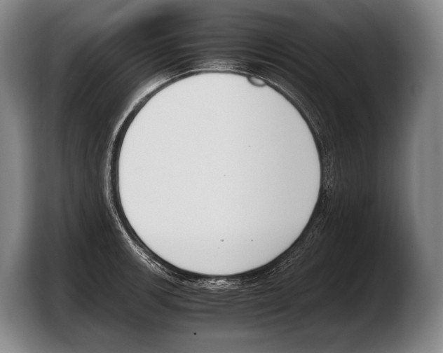 X0000103331139200810061009