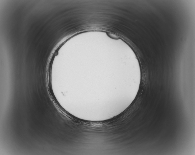 X0000103331144200810061009