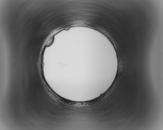 X0000103331146200810061009