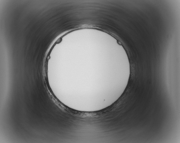 X0000103331148200810061009