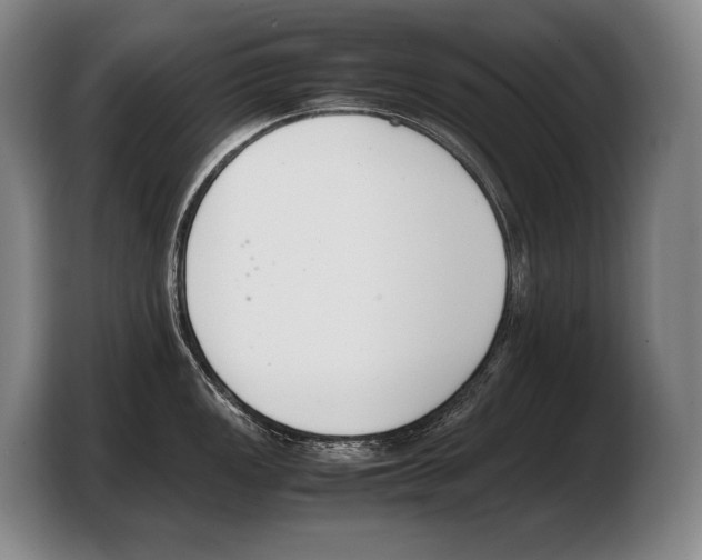 X0000103331149200810061009