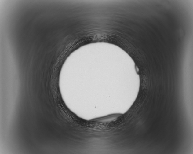 X0000103331153200810061009