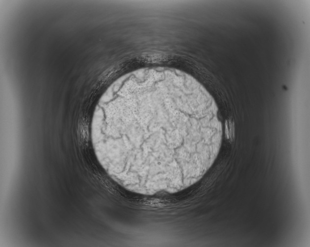 X0000103331155200810061009