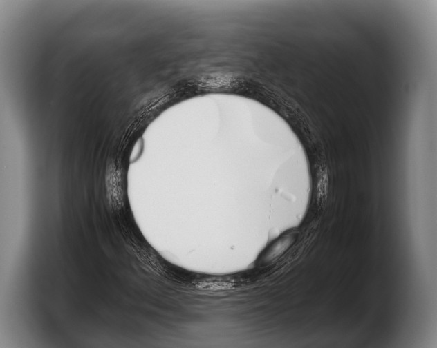 X0000103331156200810061009