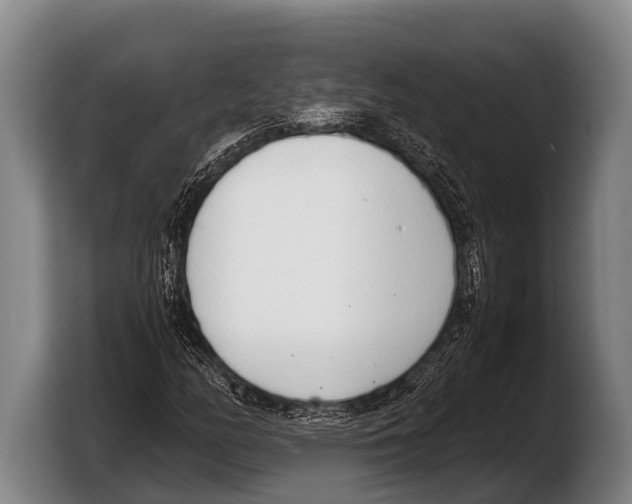 X0000103331158200810061009