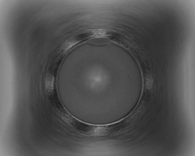 X0000103331161200810061009