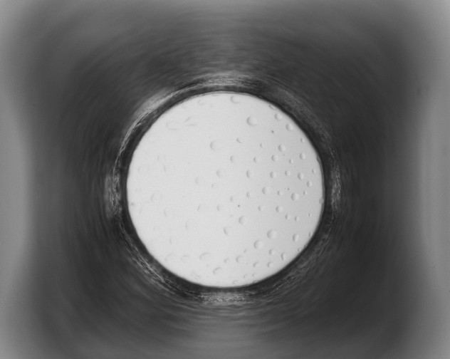 X0000103331164200810061009