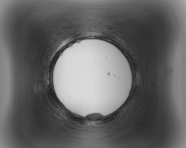 X0000103331165200810061009