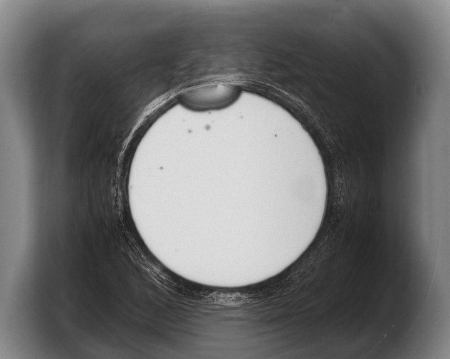 X0000103331168200810061009