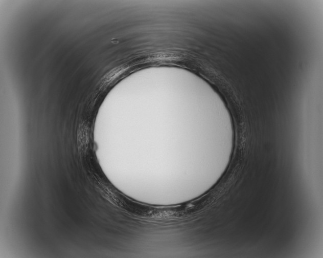 X0000103331169200810061009