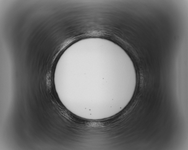 X0000103331170200810061009